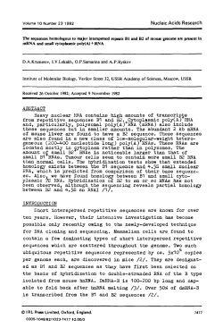 Heavy nuclear RNA contains high amounts of transcripts from