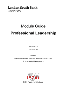 Module Guide Professional Leadership