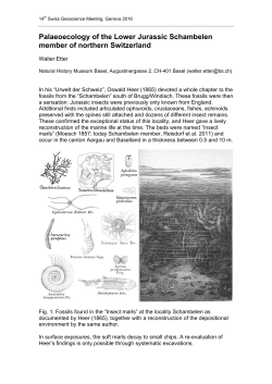 Palaeoecology of the Lower Jurassic Schambelen member of
