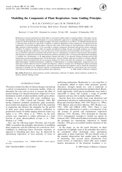 Modelling the Components of Plant Respiration~zSome Guiding