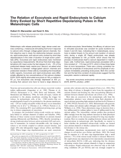 The Relation of Exocytosis and Rapid Endocytosis to Calcium Entry