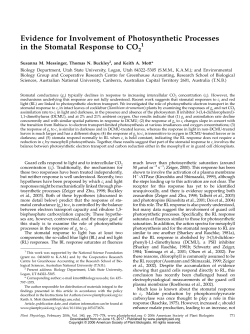 Evidence for Involvement of Photosynthetic