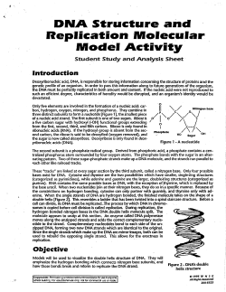 DIUA Struct&iexcl;rre ancf