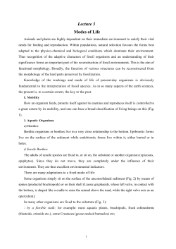 Chapter 1 Modes of Life