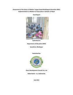 Assessment of the Status of Mother Tongue based Multilingual