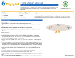 Flying Chicken Baseball