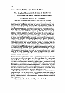 The Origin of Bacterial Resistance to Proflavine