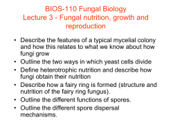 BIOS-110 Fungal Biology Lecture 3 - Fungal nutrition