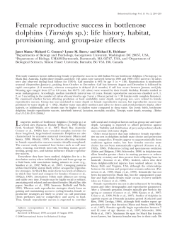 Female reproductive success in bottlenose dolphins (Tursiops sp