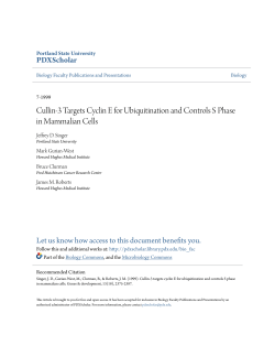 Cullin-3 Targets Cyclin E for Ubiquitination and Controls S Phase in
