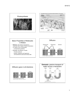 Photosynthesis Basic Properties of Molecules in Motion Diffusion