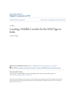 Locating a Wildlife Corridor for the Wild Tiger in India