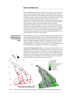 The Columbia Basin region, as described in this treatment, and