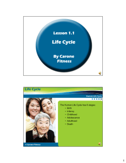 Life Cycle - Carone Learning