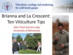 Brianna and La Crescent: Ten Viticulture Tips