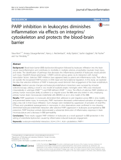PARP inhibition in leukocytes diminishes inflammation via effects on