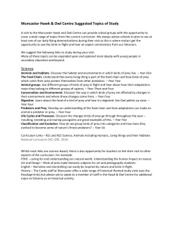 Hawk and Owl Centre Suggested Topics of Study
