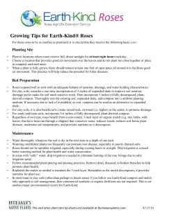 Growing Tips for Earth