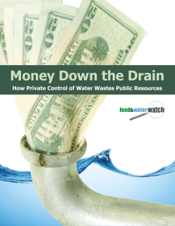 Money Down the Drain - In the Public Interest