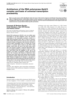 Architecture of the RNA polymeraseSpt4/5 complex and basis of