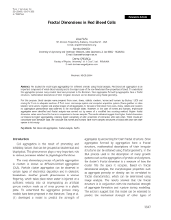 Fractal Dimensions in Red Blood Cells