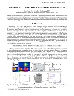 ICTAM 2004 Guidelines