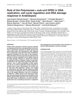 Role of the Polymerase ϵ sub-unit DPB2 in DNA replication, cell