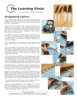 Print Straighting feathers