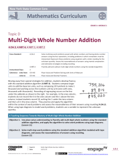 Multi-Digit Whole Number Addition