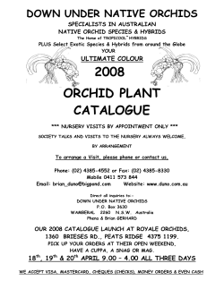 2008 orchid plant catalogue