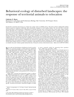 the response of territorial animals to relocation