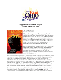 Copper Sun - Ohio Civil War 150