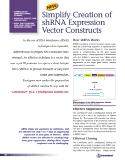 Simplify Creation of shRNA Expression Vector Constructs