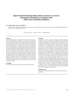 Hyper-intensive farming white shrimp Litopenaeus vannamei