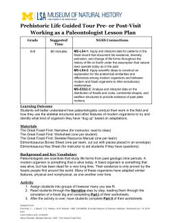 Pre or Post-Visit: Working as a Paleontologist