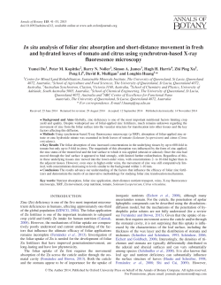 In situ analysis of foliar zinc absorption and short