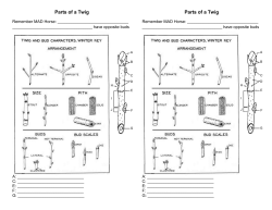 Parts of a Twig