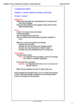 Chapter 2 Virus, Bacteria, Protista, Fungi.notebook