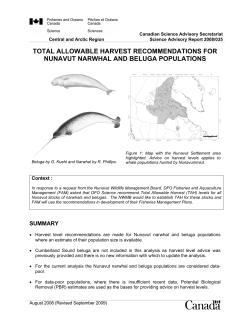 Total allowable harvest recommendations for Nunavut narwhal