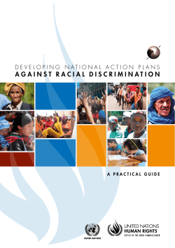 Developing National Action Plans Against Racial Discrimination