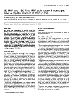 B2 RNA and 7SK RNA, RNA polymerase III transcripts, have a cap