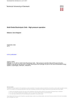 Solid Oxide Electrolysis Cells