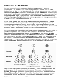 Karyotypes: An Introduction