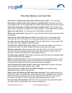 Polar Bear Mothers and Cubs FAQ