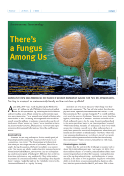 There`s a Fungus Among Us