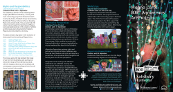 Magna Carta Art Projects Leaflet