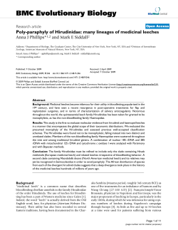 Poly-paraphyly of Hirudinidae: many lineages of medicinal leeches