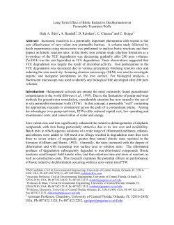 Long Term Effect of Biotic Reductive Dechlorination on