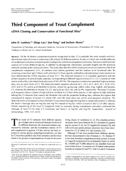 Third Component of Trout Complement