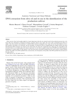 DNA extraction from olive oil and its use in the identification of the